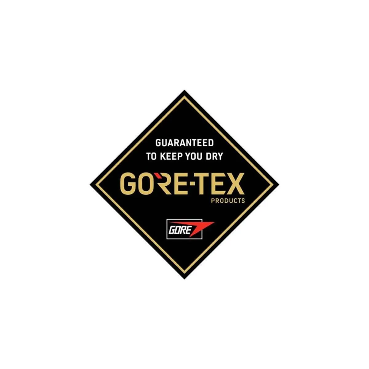 Dakine Men's Baron Gore-Tex Mittens