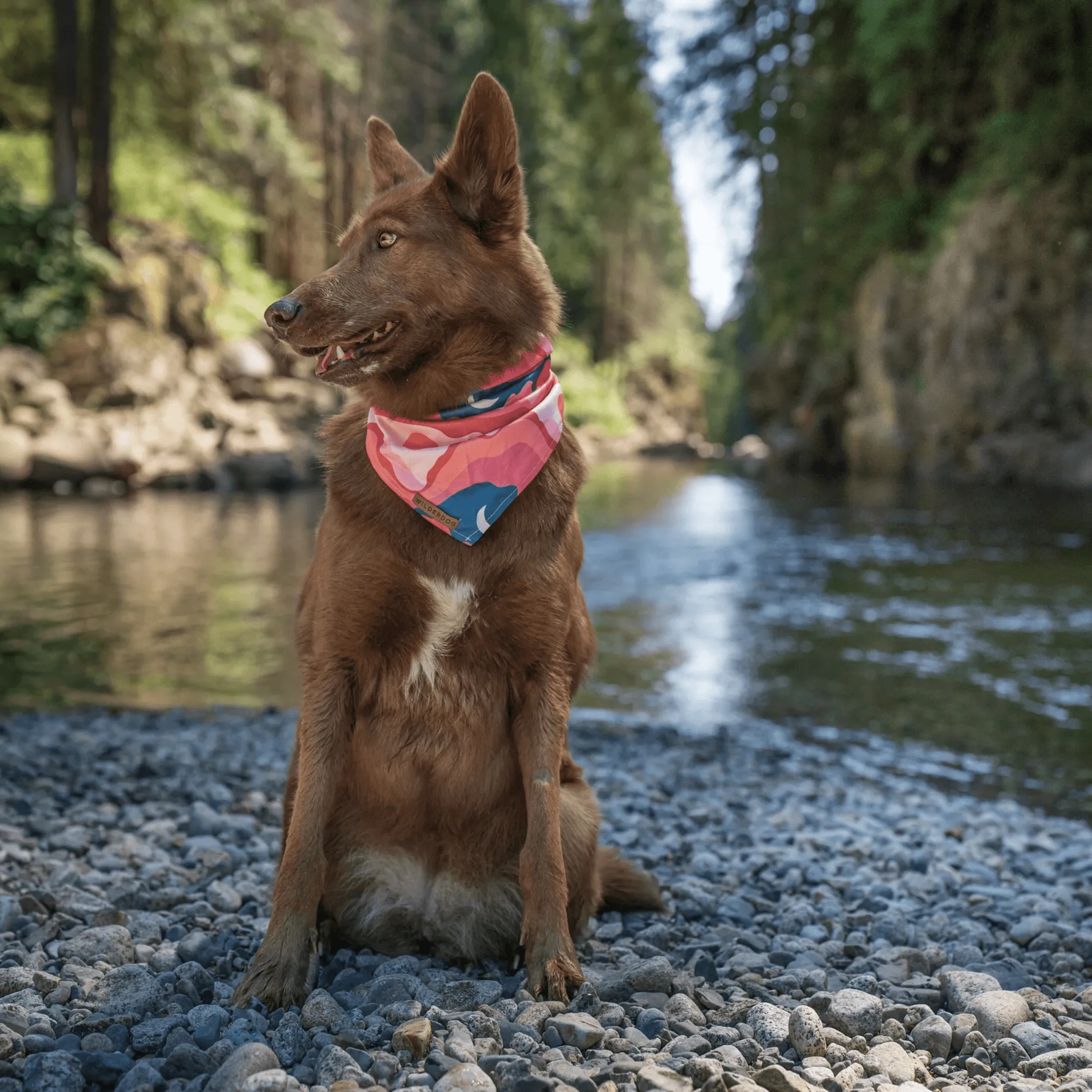 Hazy Days Cooling Bandana