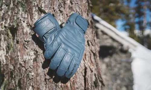 Kodiak GORE-TEX Glove