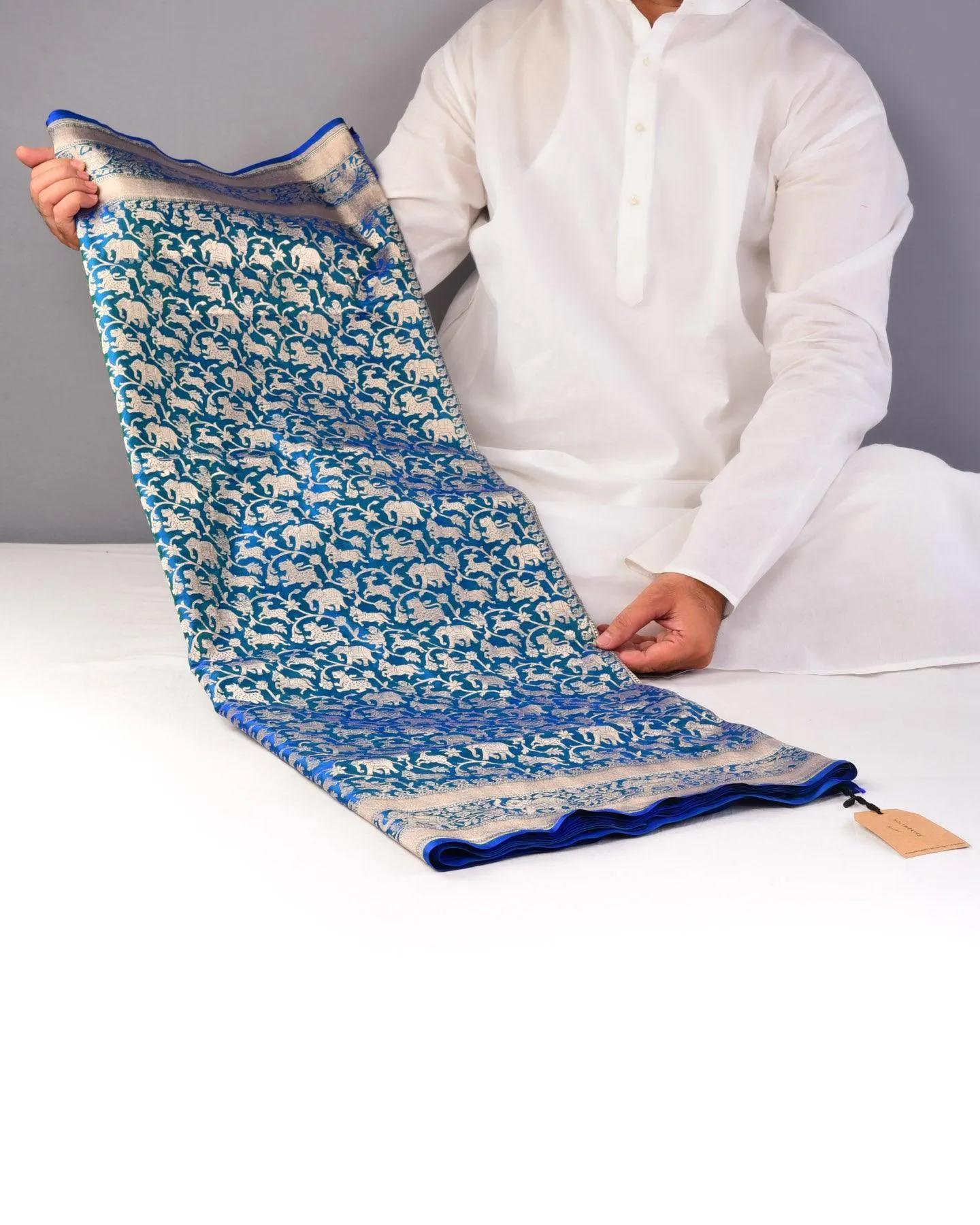 Shot Blue-Green Banarasi Shikargah Cutwork Brocade Handwoven Katan Silk Saree with Elephant Trail Border